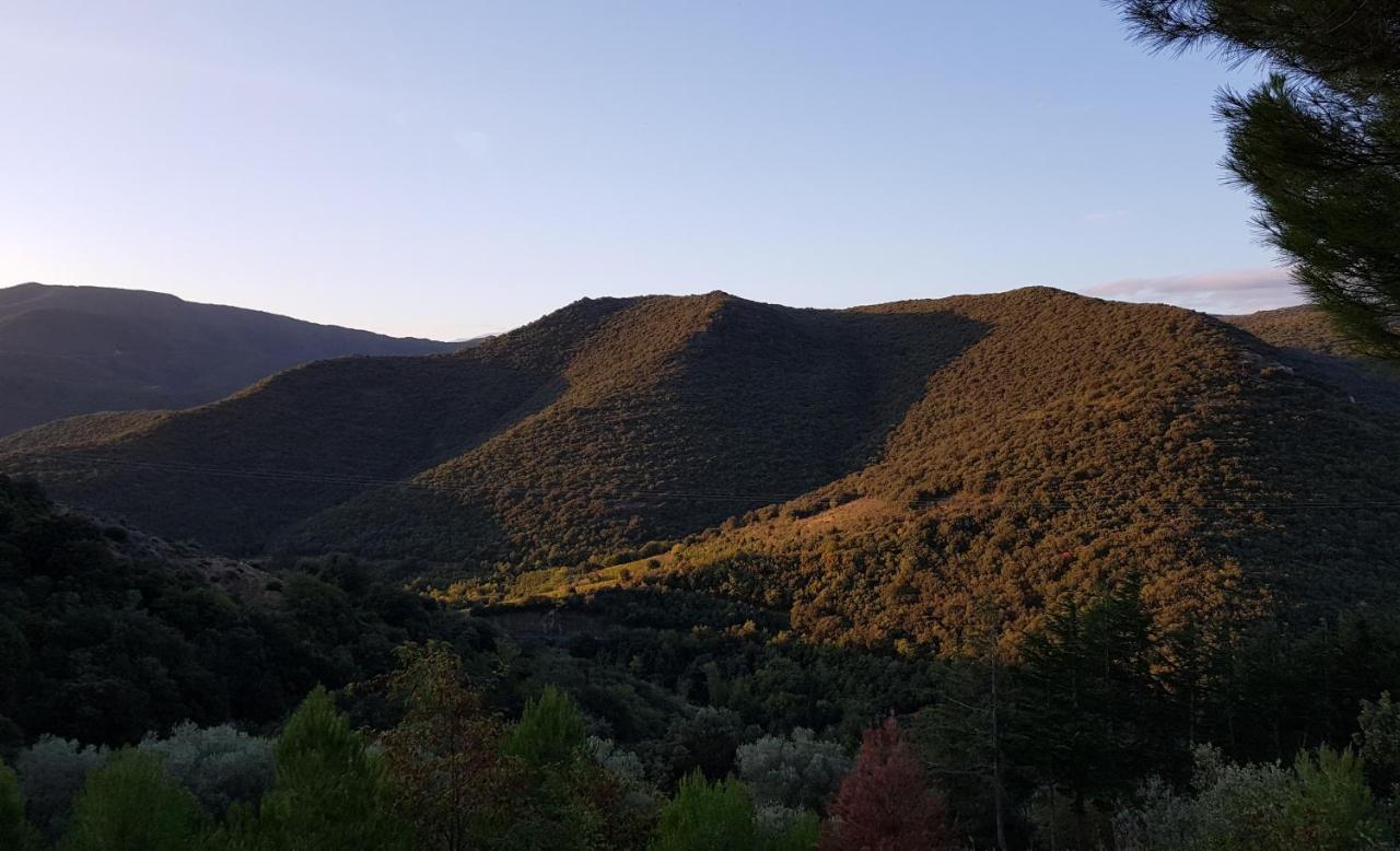 Gites-Terroirs-Occitanie Grenache Felluns Екстер'єр фото